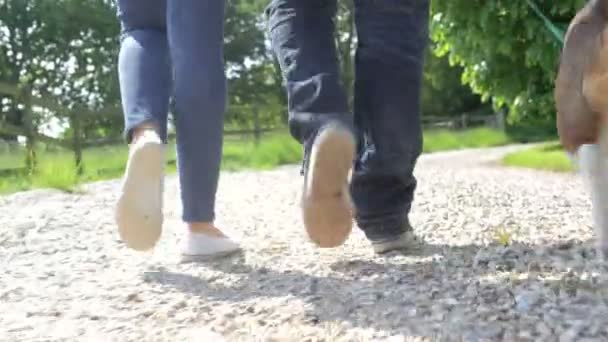 Primer plano de pareja pies tomando perro para caminar — Vídeo de stock