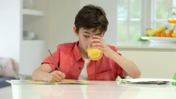 Spansktalande pojken gör läxor — Stockvideo
