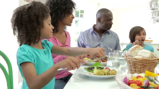 Famille afro-américaine multi-génération — Video