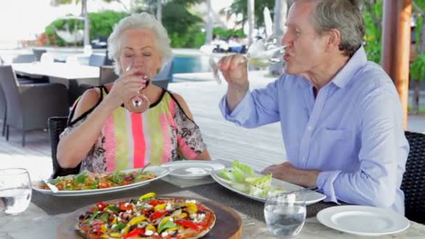 年长的夫妇享受用餐 — 图库视频影像