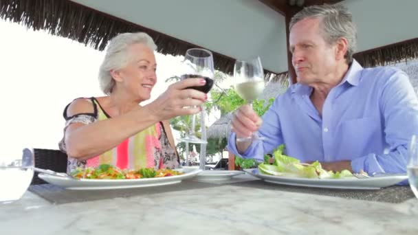 Pareja mayor disfrutando de la comida — Vídeo de stock