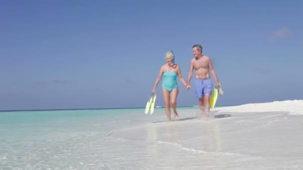 Senior couple walk along shore — Stock Video