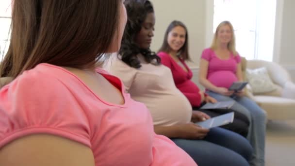 Gravida kvinnor möte — Stockvideo