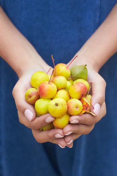 Kvinna med krabba äpplen — Stockfoto