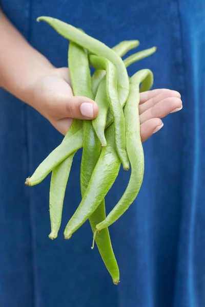 Woman Holding Bunch Of Green Beans — Stock Photo, Image
