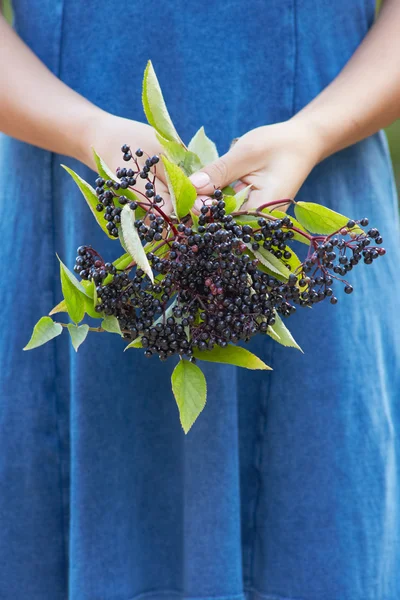 Elderberries demet tutan kadın — Stok fotoğraf