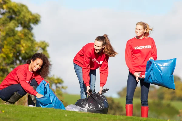 Vrouwelijke vrijwilligers verzamelen nest — Stockfoto