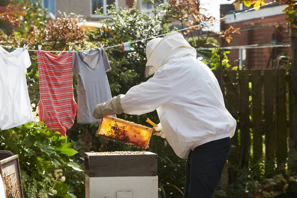Людина збирає мед з вулика — стокове фото