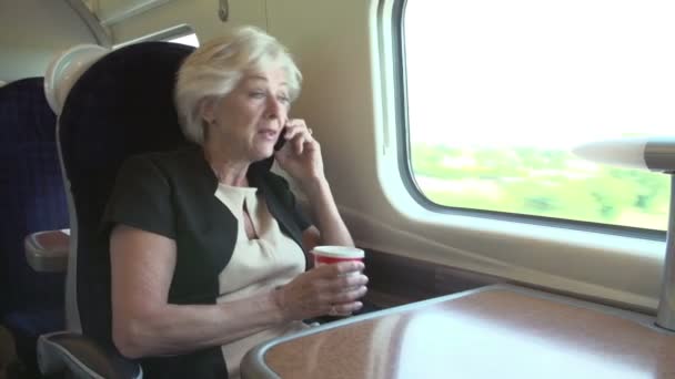 Mujer de negocios hablando por teléfono móvil en tren — Vídeos de Stock