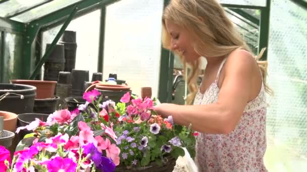 Жінка вирощує рослини в теплиці — стокове відео