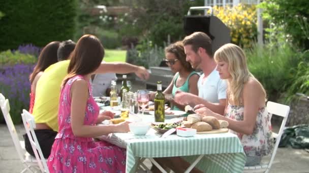 Freundeskreis genießt sommerliches Grillen. — Stockvideo