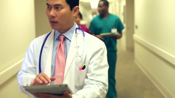 Médico caminando a lo largo del corredor del hospital — Vídeos de Stock
