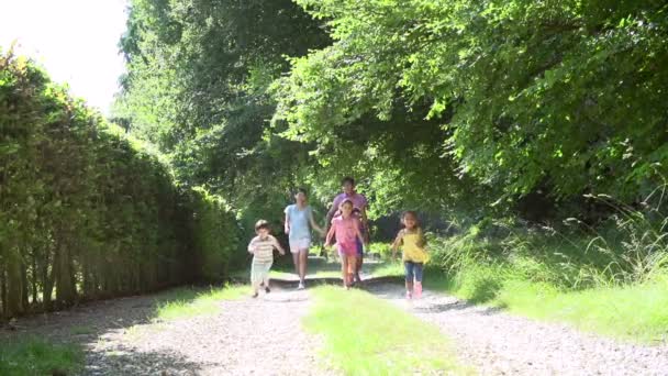 Семья наслаждается прогулкой в сельской местности — стоковое видео