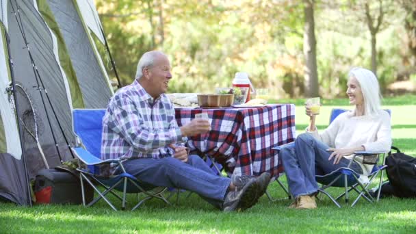 Pareja mayor en vacaciones de camping — Vídeo de stock