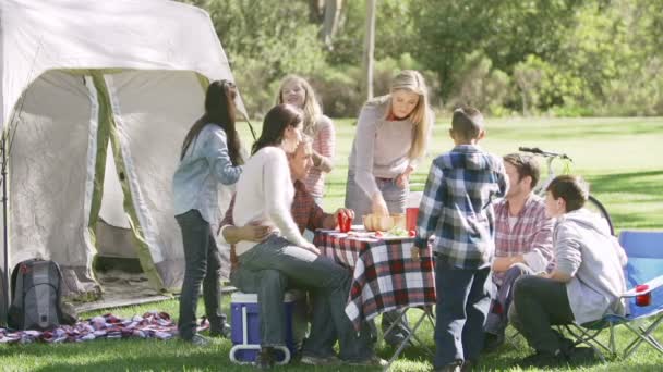 Due famiglie che si godono le vacanze in campeggio — Video Stock