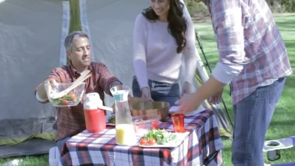 Två familjer njuter campingsemester — Stockvideo