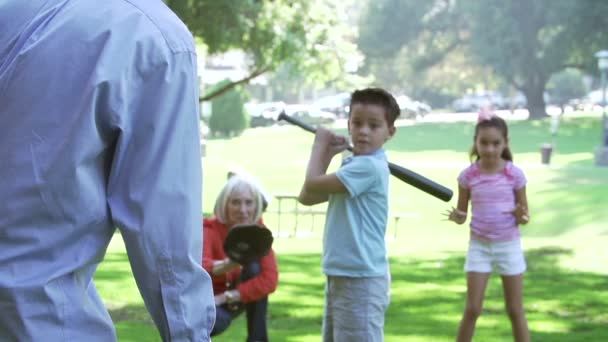 Abuelos jugando béisbol con nietos — Vídeos de Stock