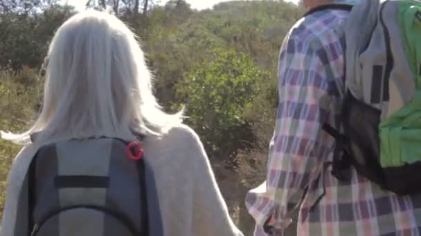 Caminhadas de casal ao longo do caminho do país — Vídeo de Stock