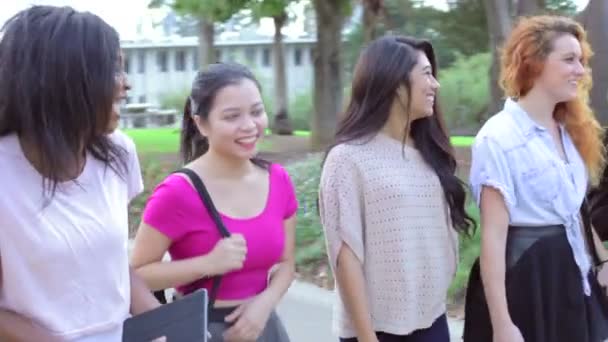 Студентки, идущие по кампусу — стоковое видео