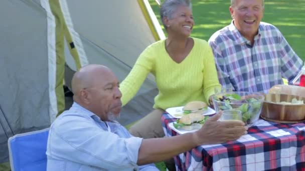 Deux couples âgés à la campagne — Video