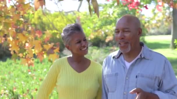 Senior Couple On Walk In Countryside — Stock Video