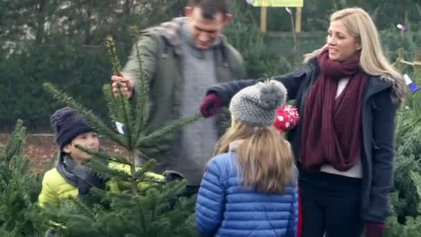 Familie kiezen kerstboom — Stockvideo