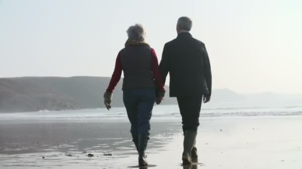 Äldre par promenader på stranden — Stockvideo