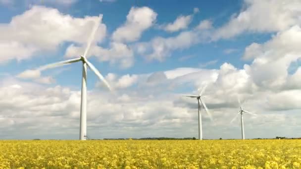 Windräder im Rapsfeld — Stockvideo