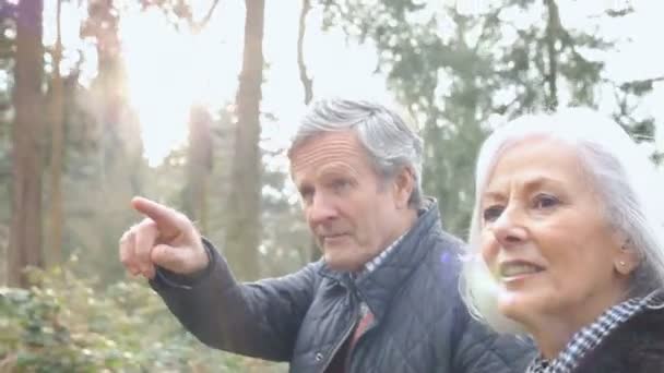 Seniorenpaar spaziert durch winterliche Landschaft — Stockvideo