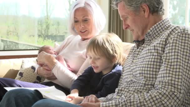 Бабушка и дедушка с внуком и новорожденным — стоковое видео
