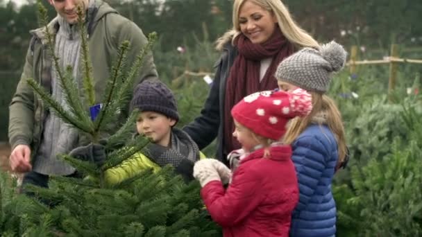 Familjen väljer julgran — Stockvideo