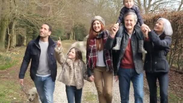 Родина поколінь На сільській прогулянці — стокове відео