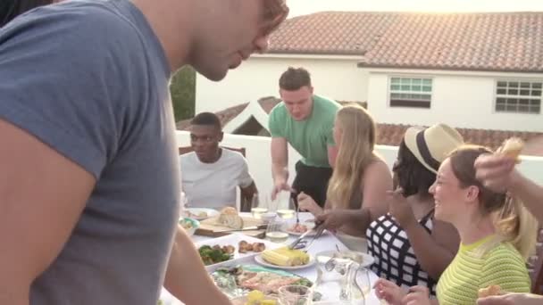 Grupo de jovens que desfrutam de refeição de verão ao ar livre — Vídeo de Stock