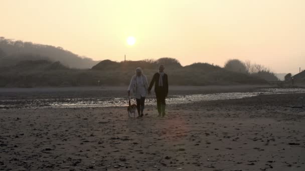 Seniorenpaar geht mit Hund am Strand spazieren — Stockvideo