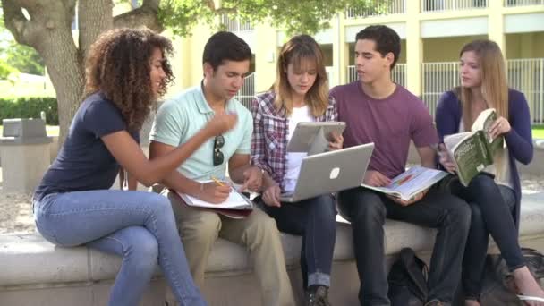 Estudiantes colaborando en el proyecto — Vídeos de Stock