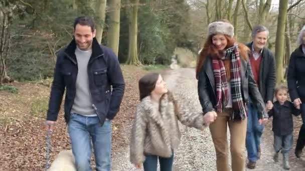 Famille multi-génération à pied à la campagne — Video