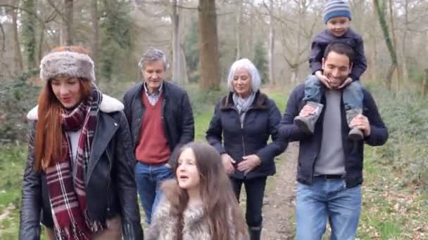 여러 세대의 가족 이 함께 시골 길을 걷다 — 비디오