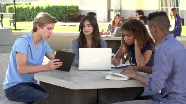 Estudiantes colaborando en el proyecto — Vídeo de stock