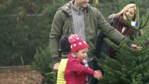 Família comprando árvore de natal — Vídeo de Stock