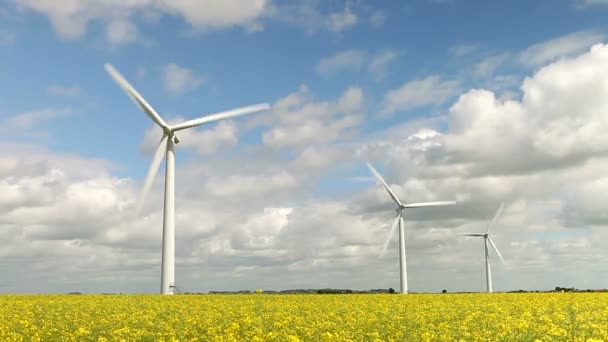 Group Of Wind Turbines In Field Of Rape — Stock Video