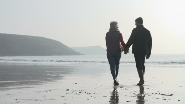 Bakifrån av äldre par promenader på stranden — Stockvideo