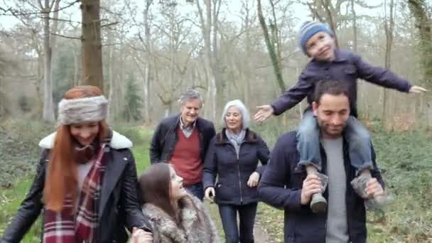 田舎の散歩で多世代の家族 — ストック動画