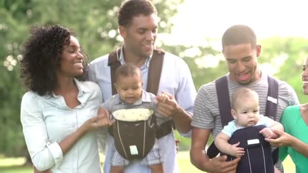 Due famiglie che camminano nel parco — Video Stock