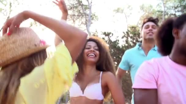 Група друзів танцює на пляжі — стокове відео