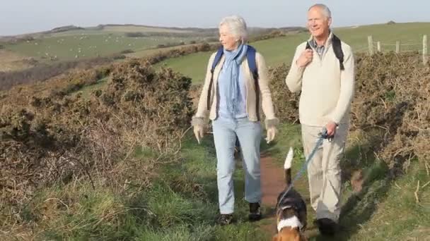 Couple aîné sur le sentier côtier — Video