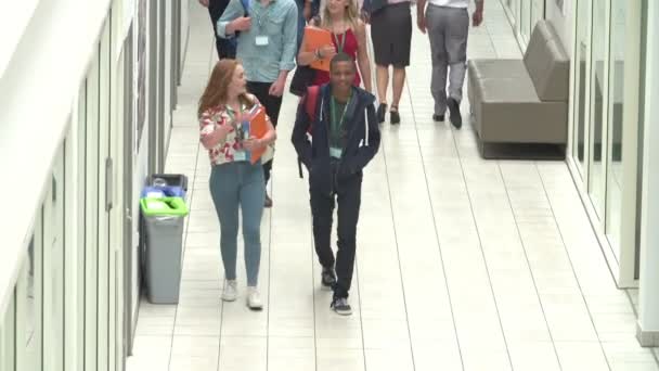 Grupa studentów spaceru wzdłuż korytarza — Wideo stockowe