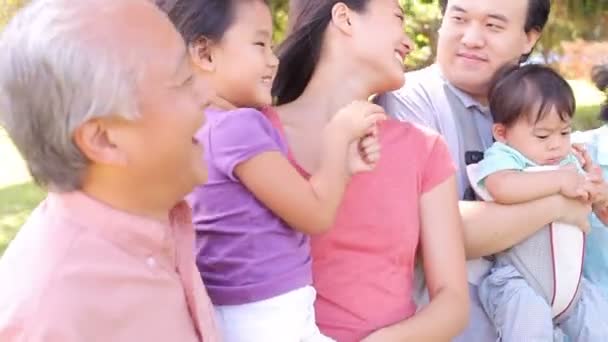 Çoklu nesil aile yürüyüş — Stok video