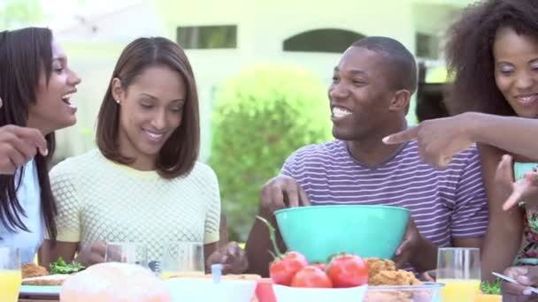 Amigos desfrutando de comida no jardim — Vídeo de Stock