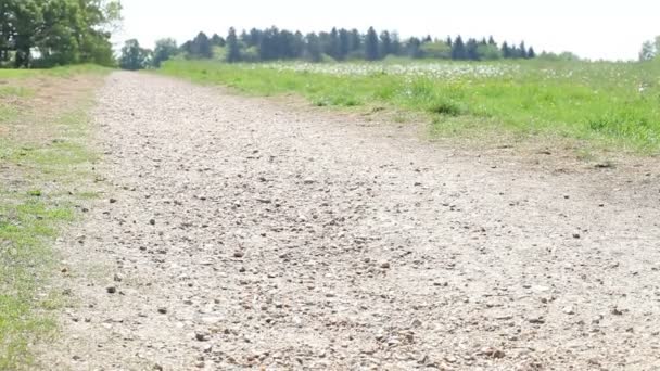 Hombre montando bicicleta de montaña en el campo — Vídeo de stock