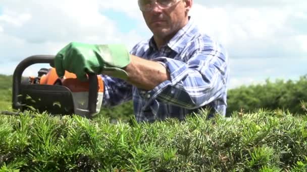 Cobertura de recorte hombre — Vídeo de stock